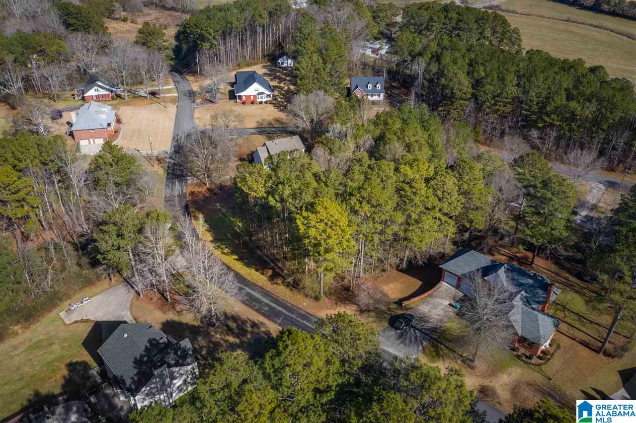 0 Scenic Trail, Unit 1 Oneonta, AL 35121 - Photo 9 of 18