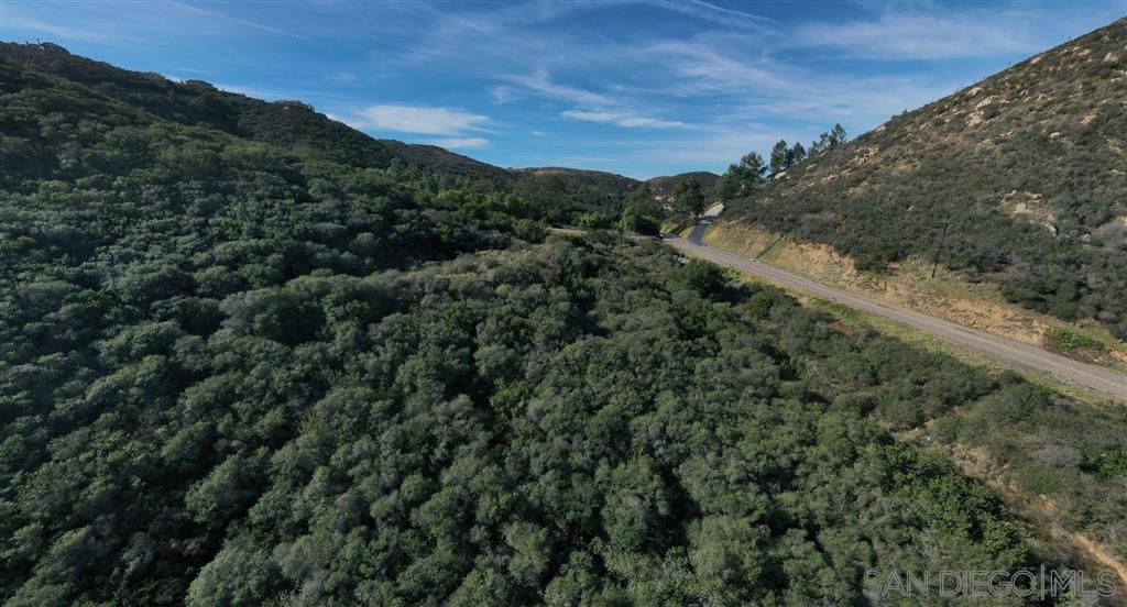 0 Mt Israel Road Escondido, CA 92029 - Photo 9 of 11 a view of a forest with a mountain in the background