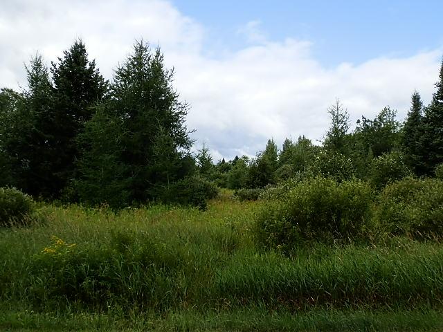 W6530 Old 182 Road Park Falls, WI 54552 - Photo 14 of 22 Gallery Image 14