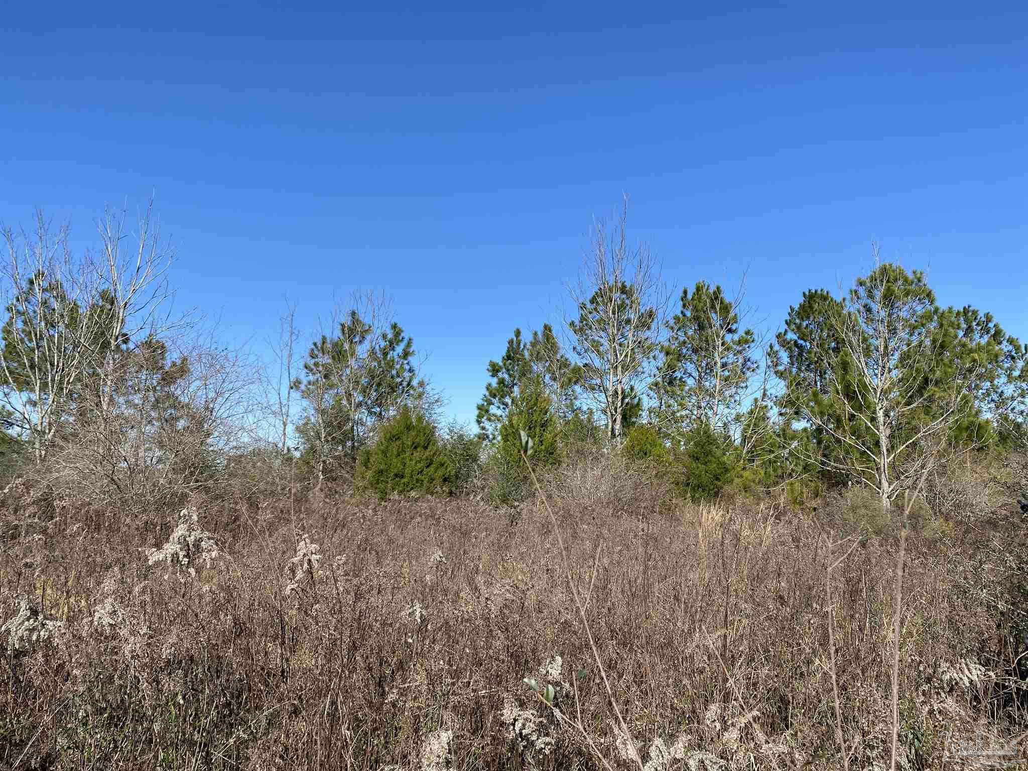 5500 Kansas Road McDavid, FL 32568 - Photo 11 of 17 Gallery Image 11