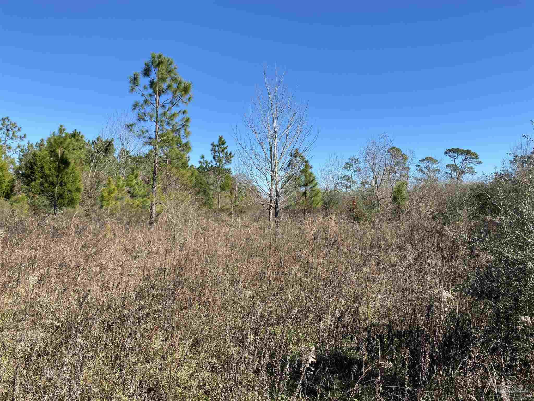 5500 Kansas Road McDavid, FL 32568 - Photo 12 of 17 Gallery Image 12