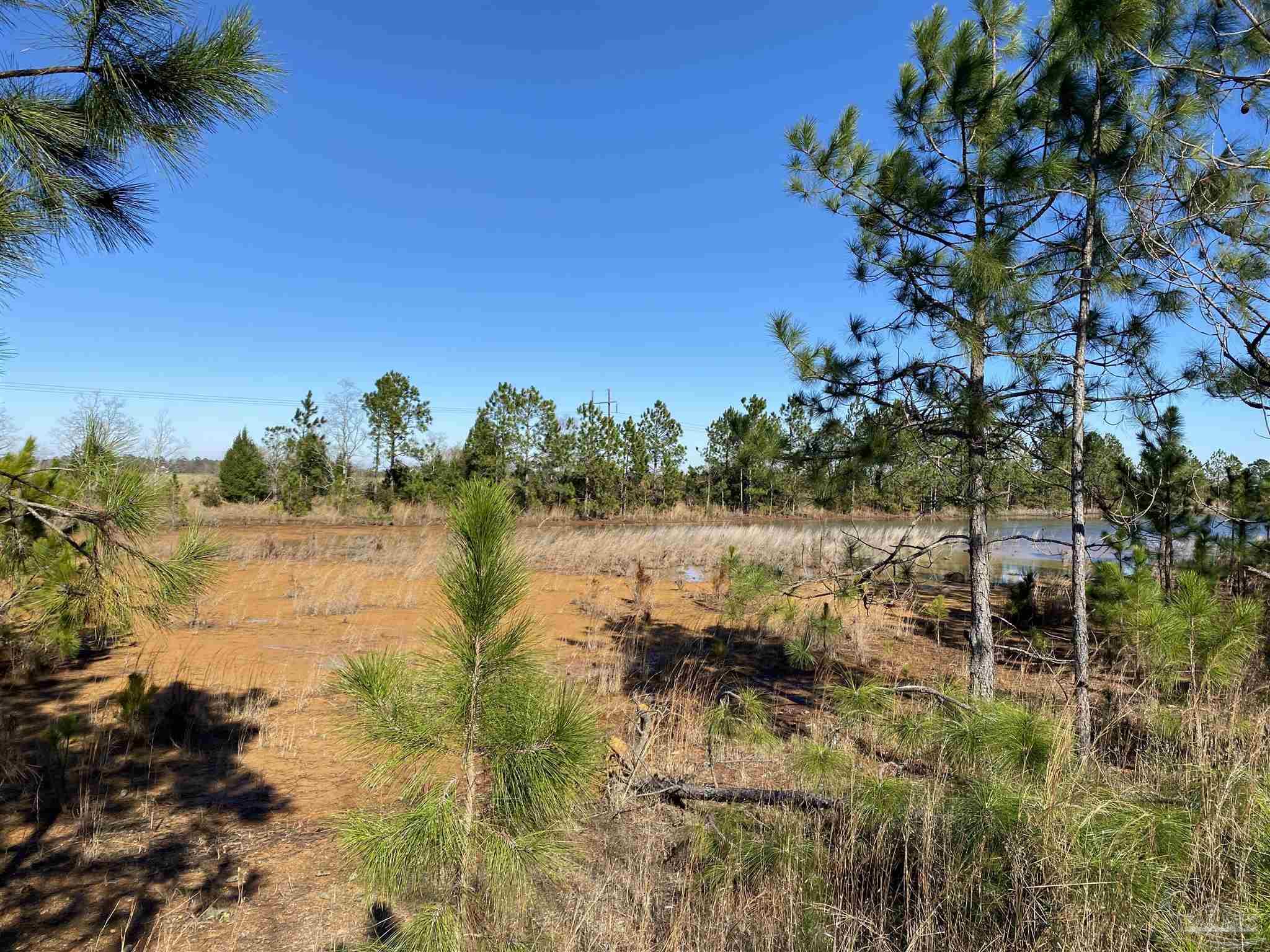 5500 Kansas Road McDavid, FL 32568 - Photo 13 of 17 Gallery Image 13