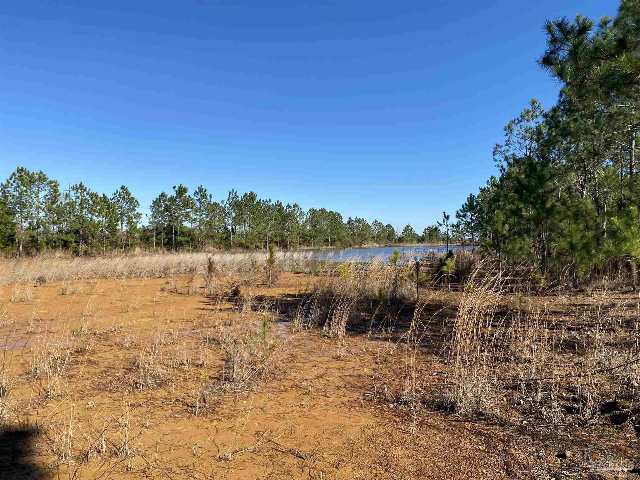 5500 Kansas Road McDavid, FL 32568 - Photo 14 of 17 Gallery Image 14
