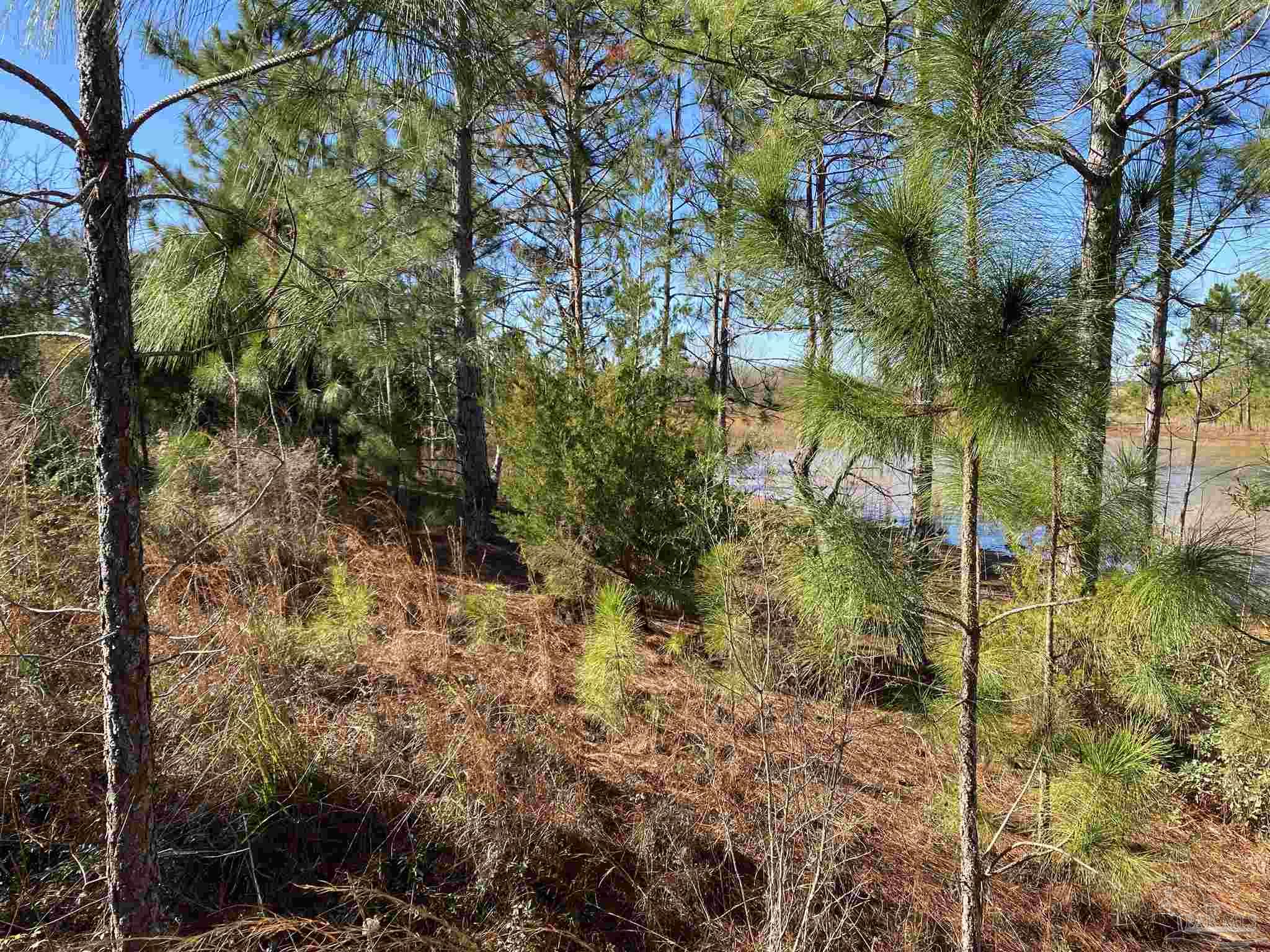 5500 Kansas Road McDavid, FL 32568 - Photo 17 of 17 Gallery Image 17