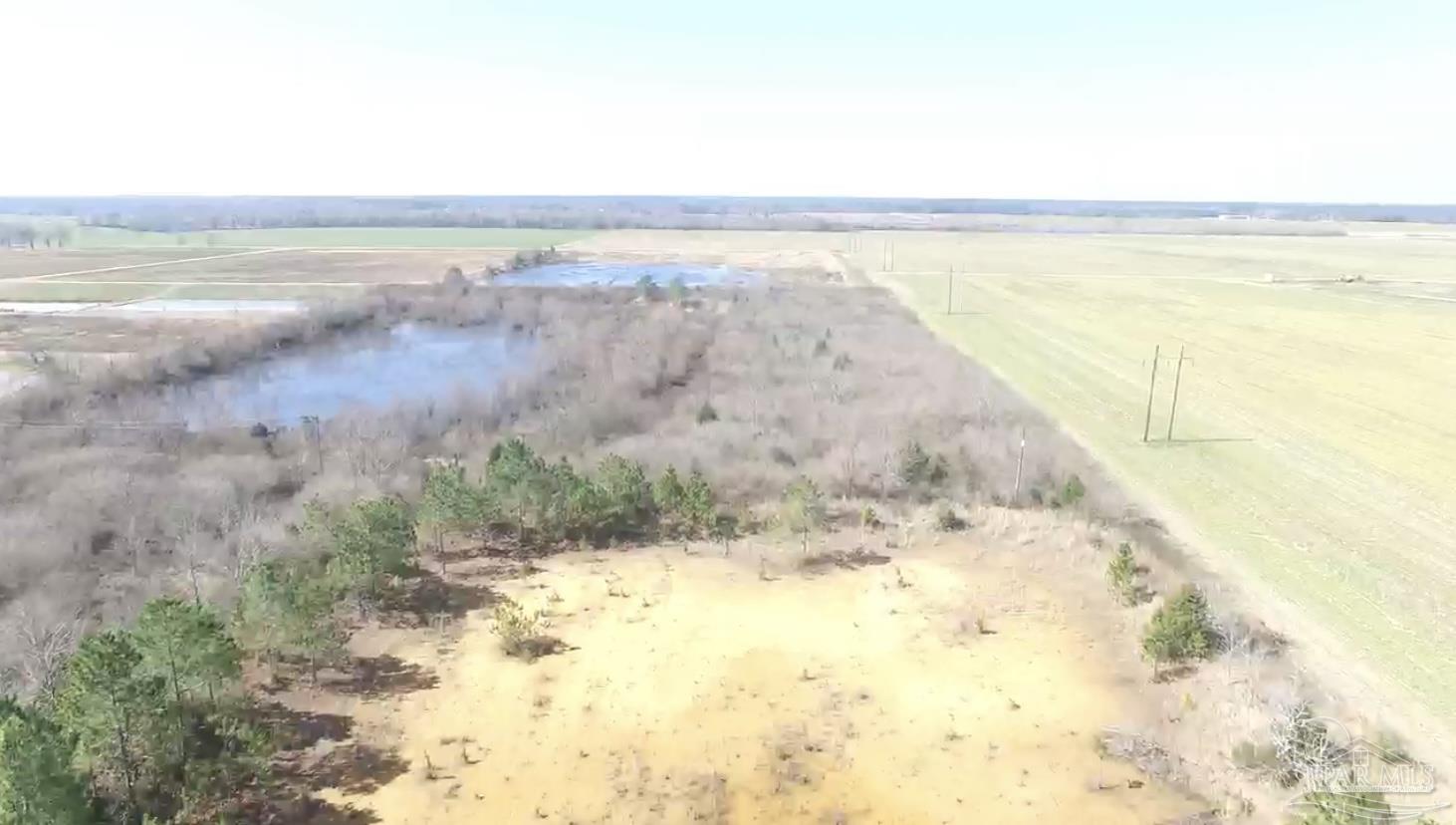5500 Kansas Road McDavid, FL 32568 - Photo 5 of 17 Gallery Image 5