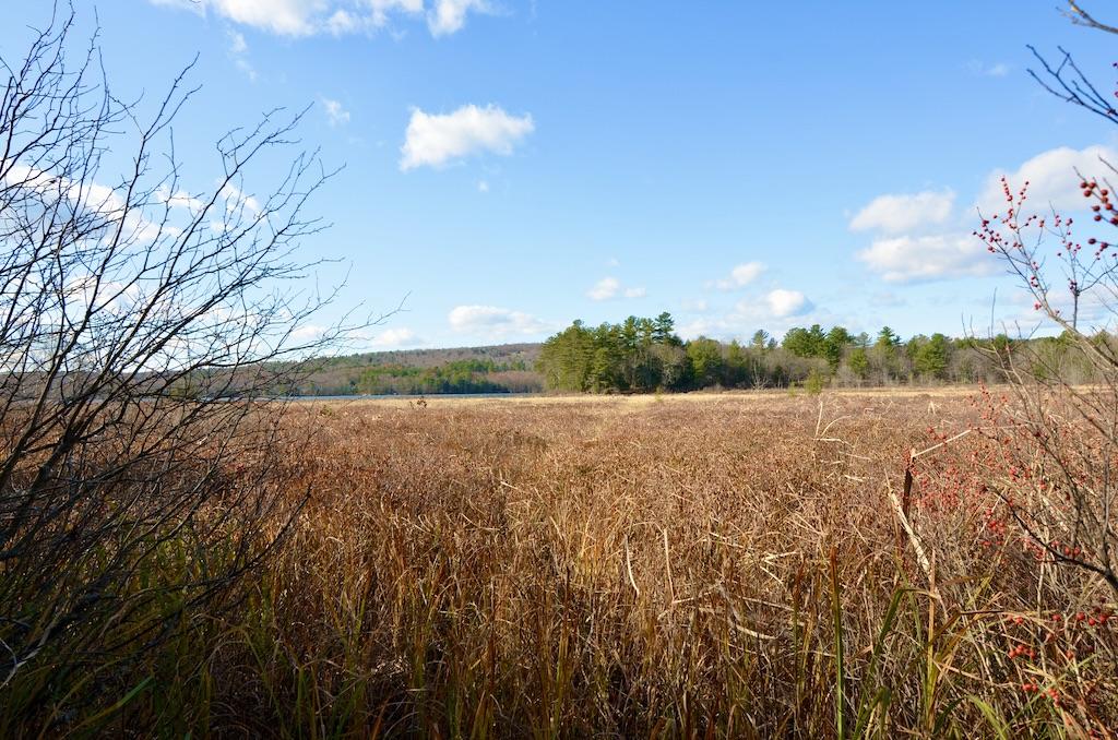 180 Smithfield Road Oakland, ME 04963 - Photo 3 of 21 Yard Leads to Bog on Lake