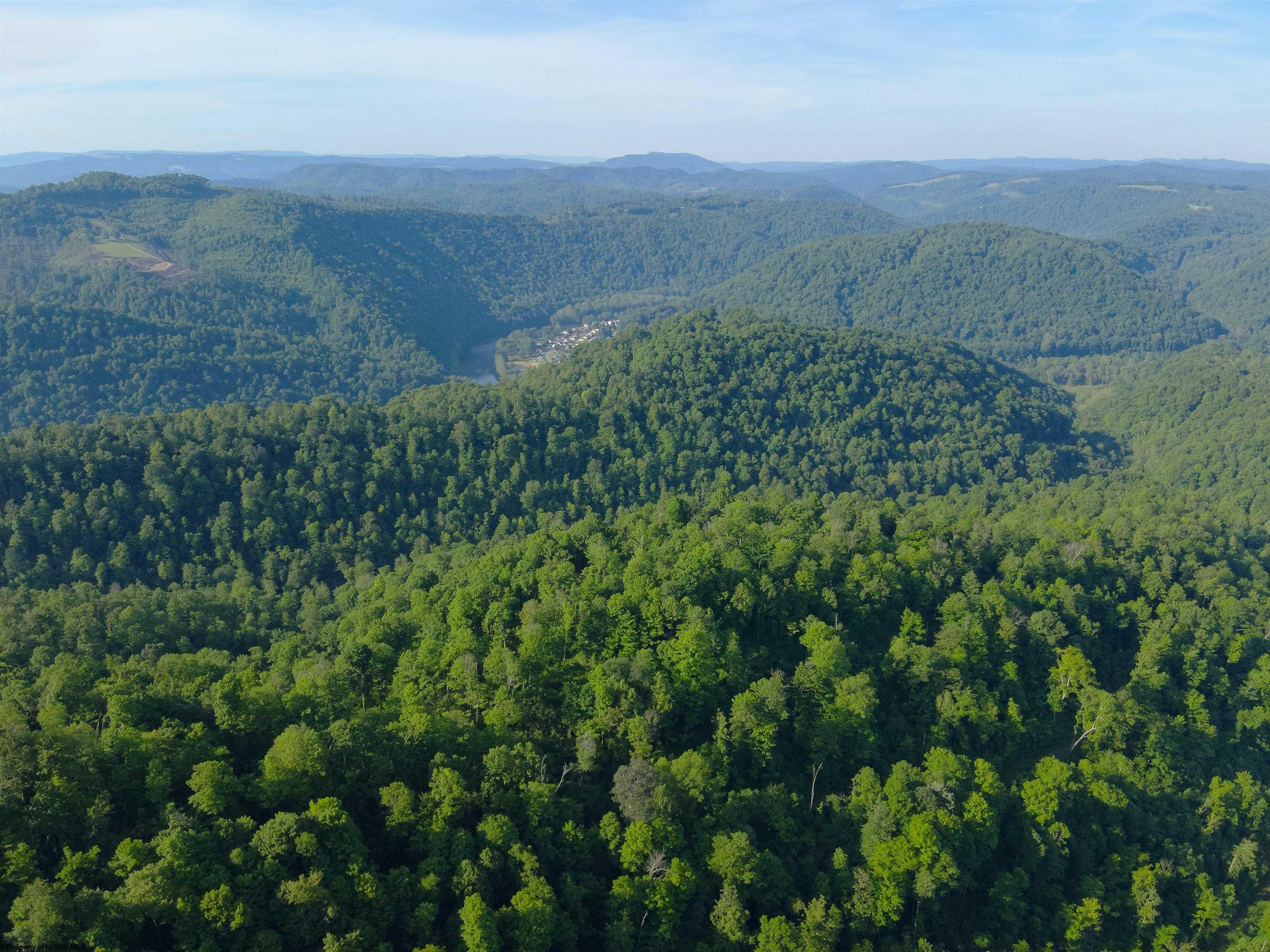 Tbd Calvert Shaver Road Rowlesburg, WV 26425 - Photo 27 of 35 Gallery Image 27