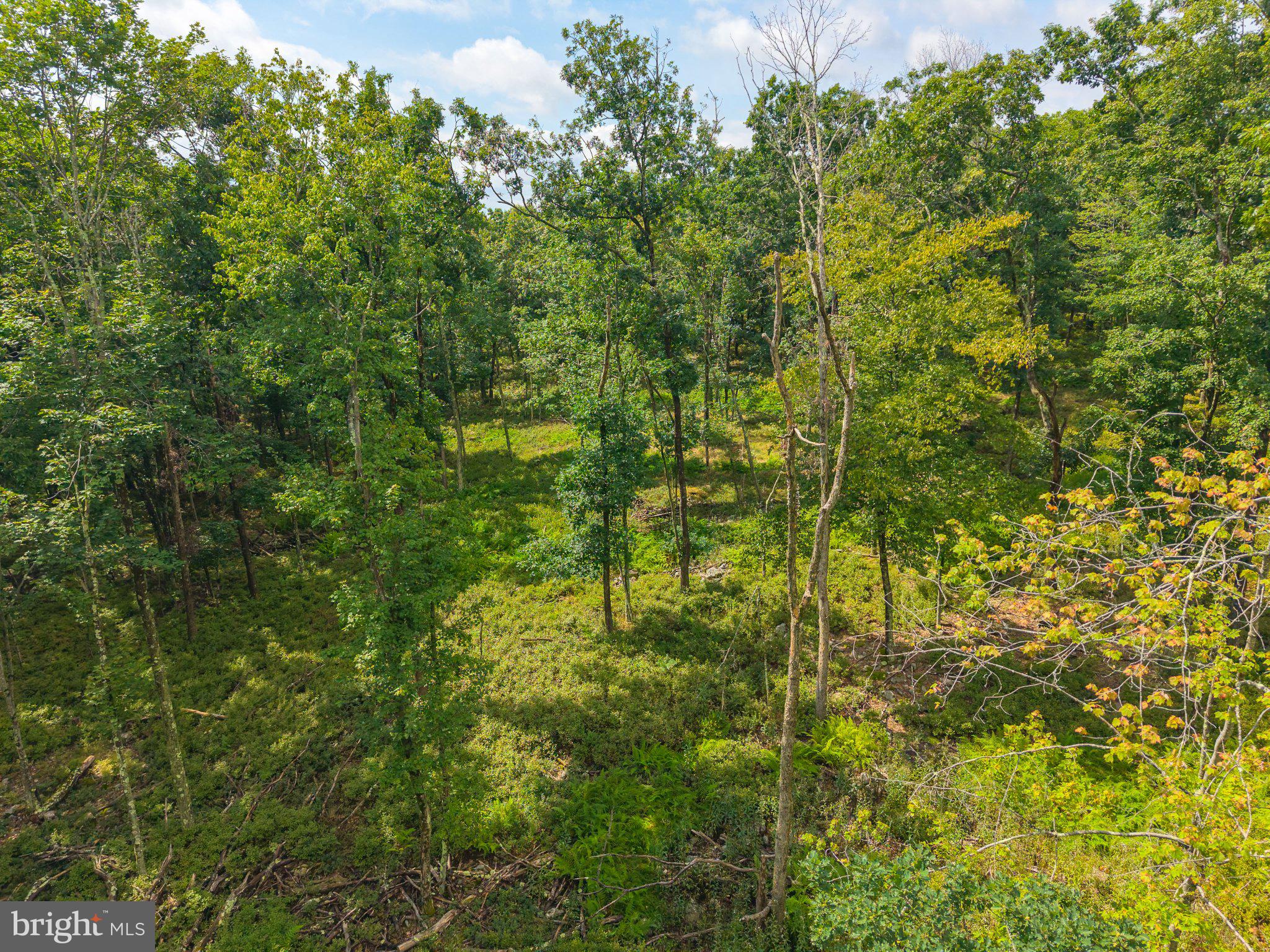 0 Laurel Run Road Wilkes Barre, PA 18702 - Photo 13 of 25 Gallery Image 13