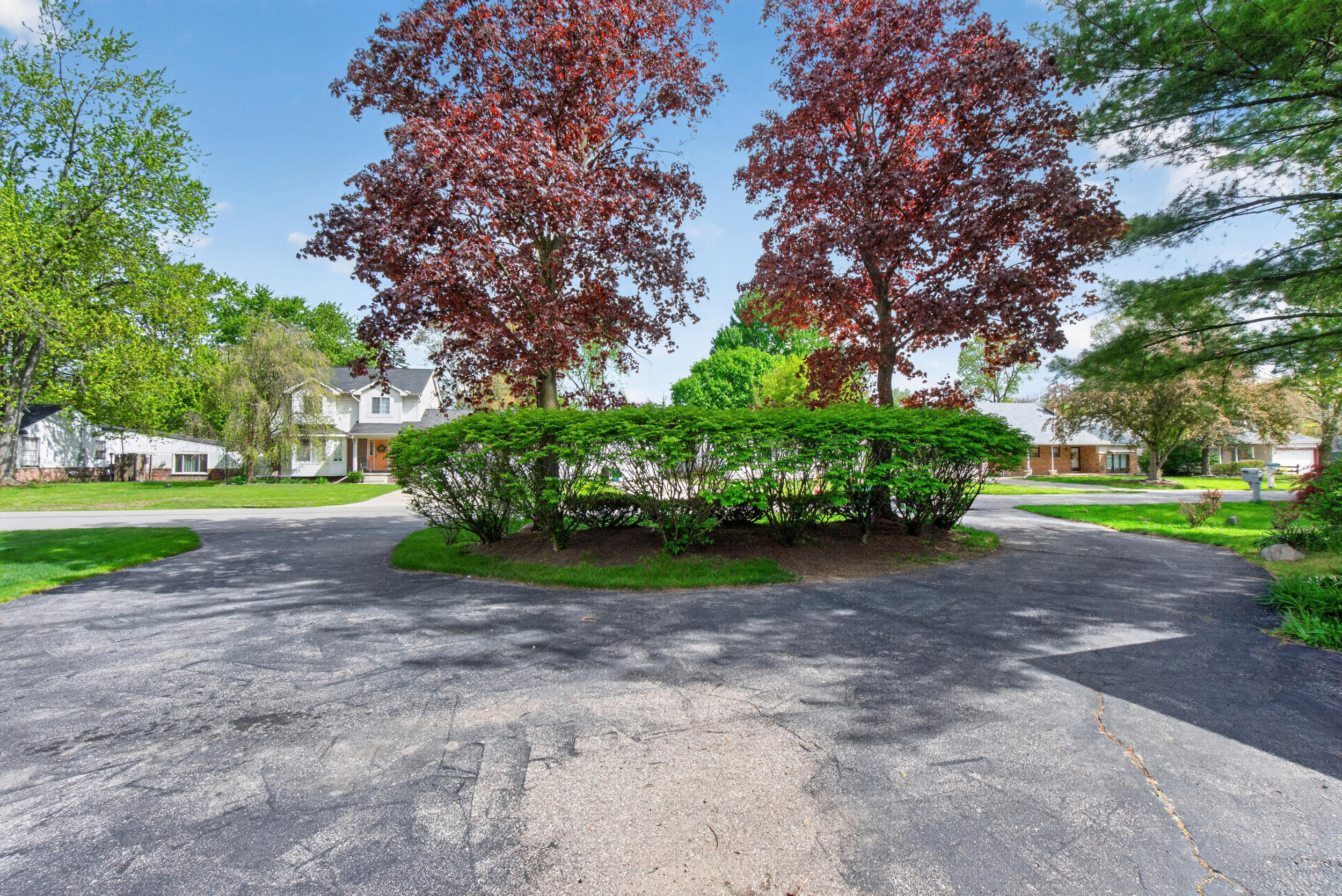 33541 Stocker Street Farmington, MI 48335 - Photo 2 of 52 Privacy Hedge