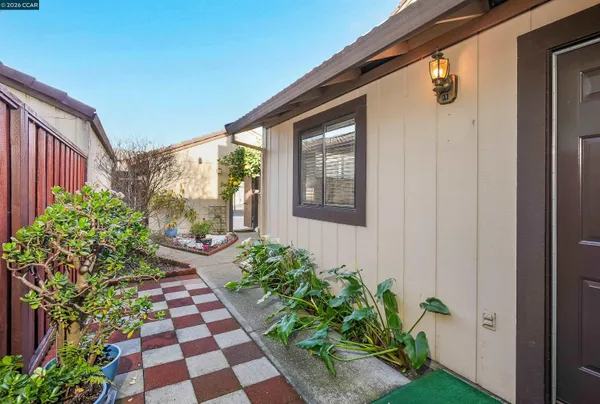 a potted plant sitting in front of a house