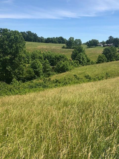 1915 Mt Zion Road Frankfort, KY 40601 - Photo 5 of 18 Photo 5