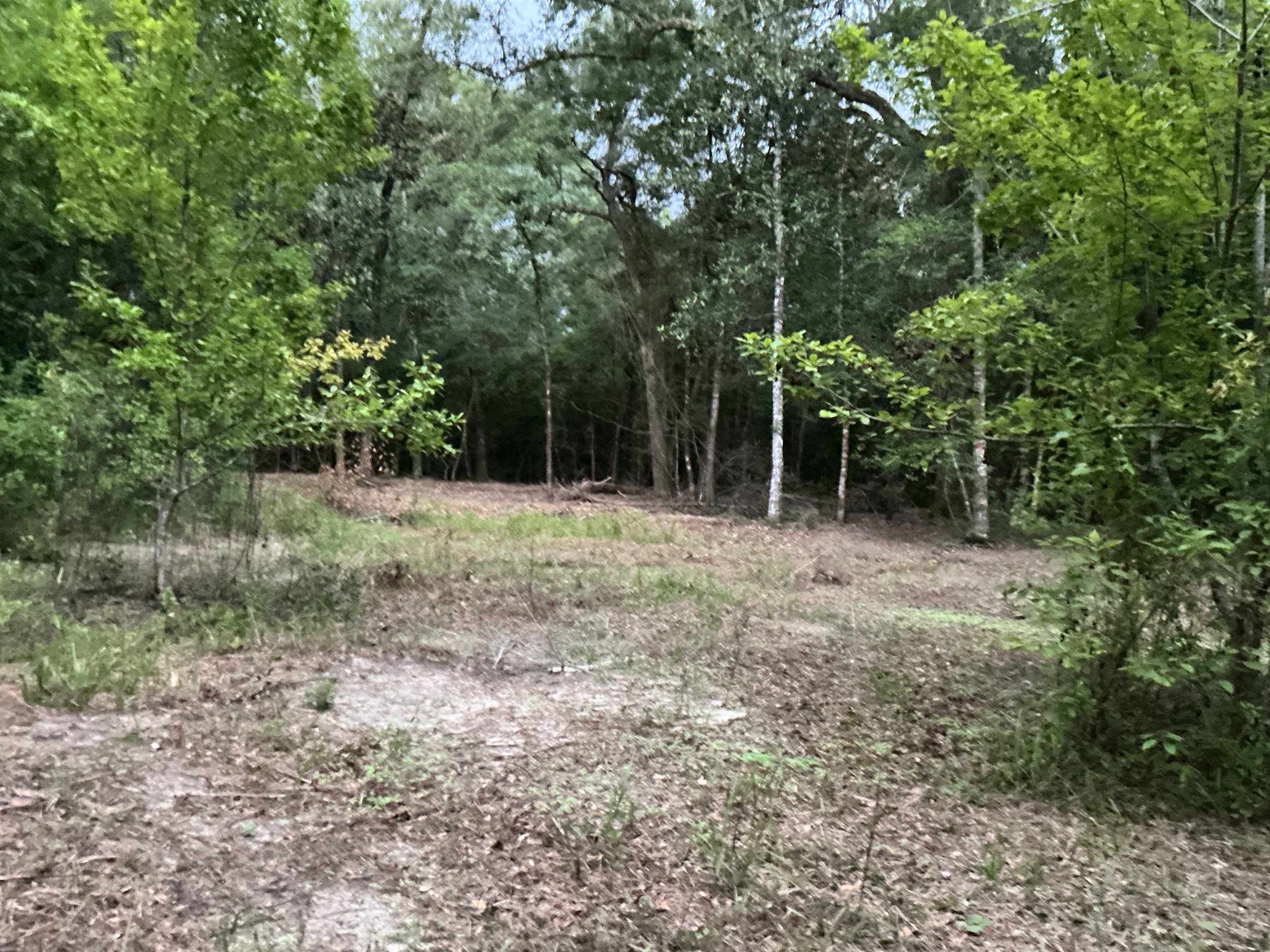 35 Falco Road Andalusia, AL 36420 - Photo 9 of 21 Gallery Image 9