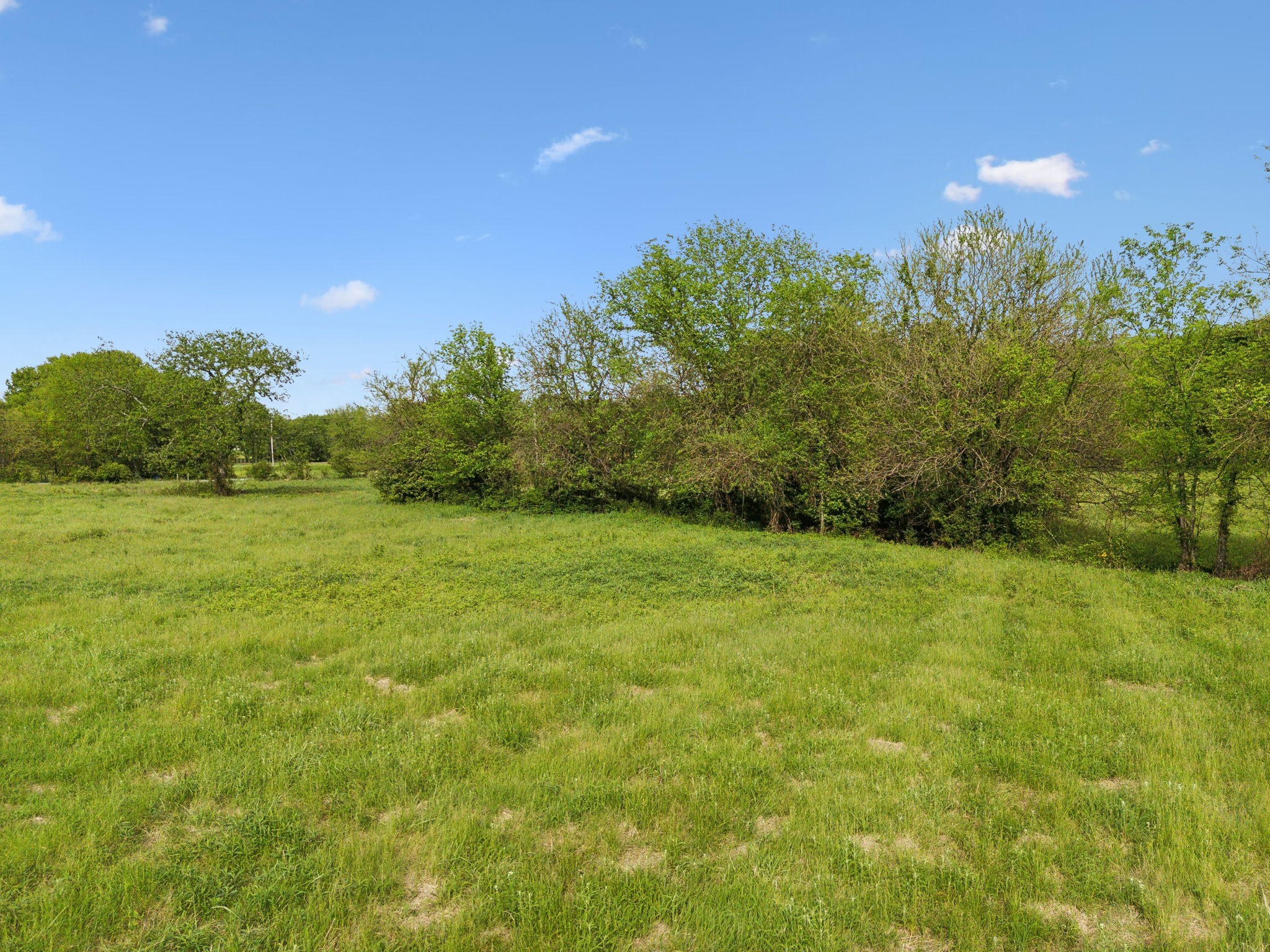 0 Polk Lane Columbia, TN 38401 - Photo 16 of 28 a view of a field with an trees