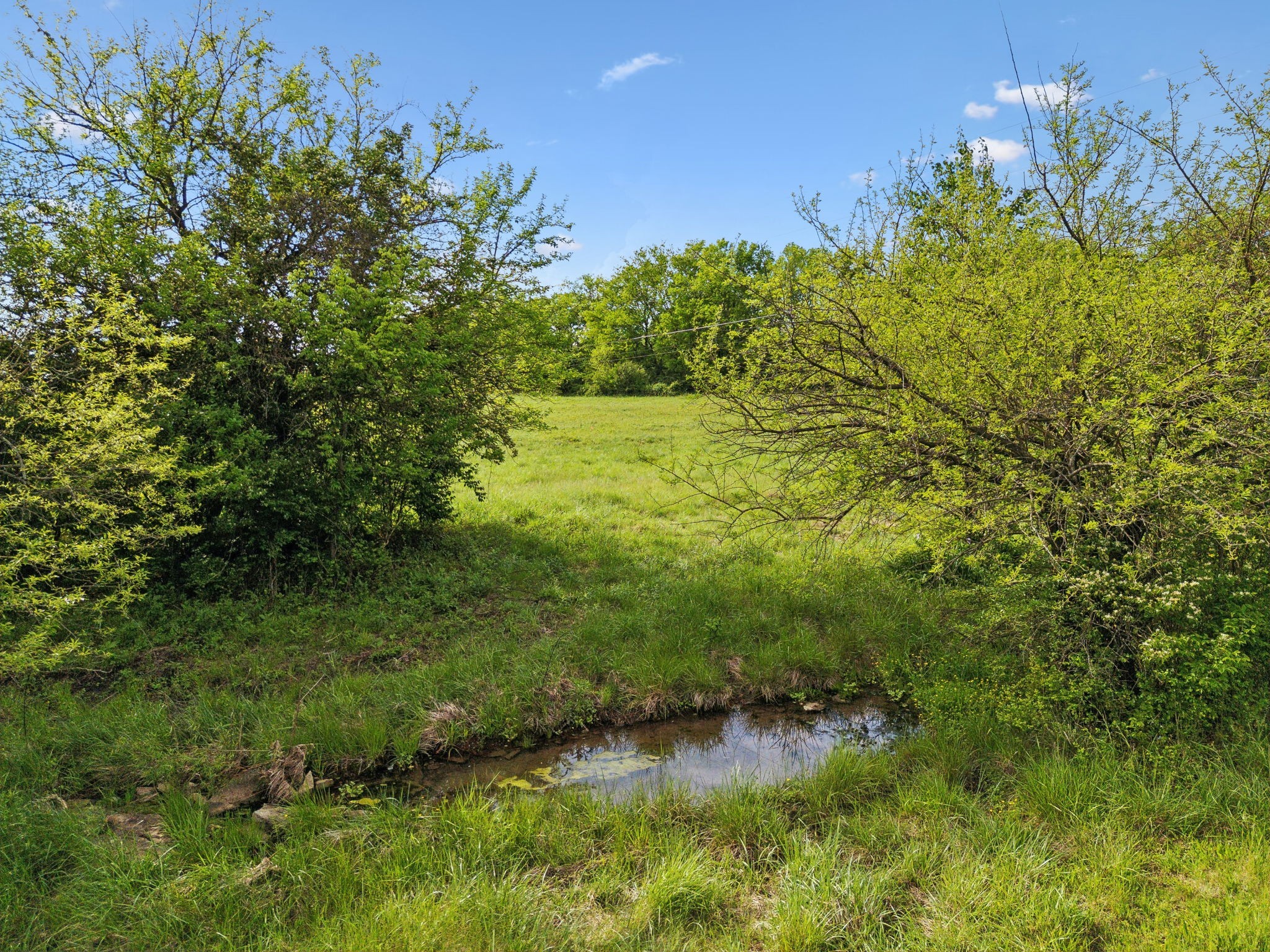 0 Polk Lane Columbia, TN 38401 - Photo 23 of 28 a view of a garden