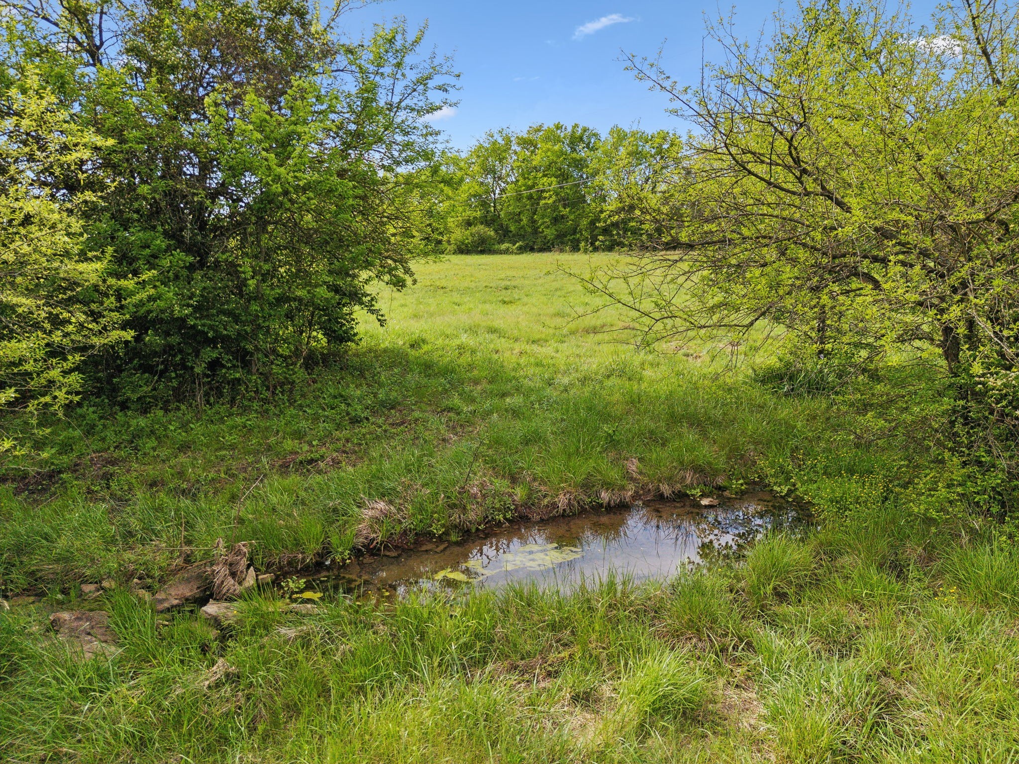 0 Polk Lane Columbia, TN 38401 - Photo 25 of 28 a view of a yard