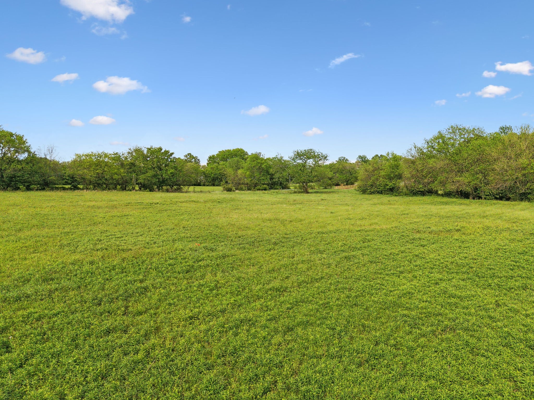 0 Polk Lane Columbia, TN 38401 - Photo 27 of 28 a view of an ocean from a yard