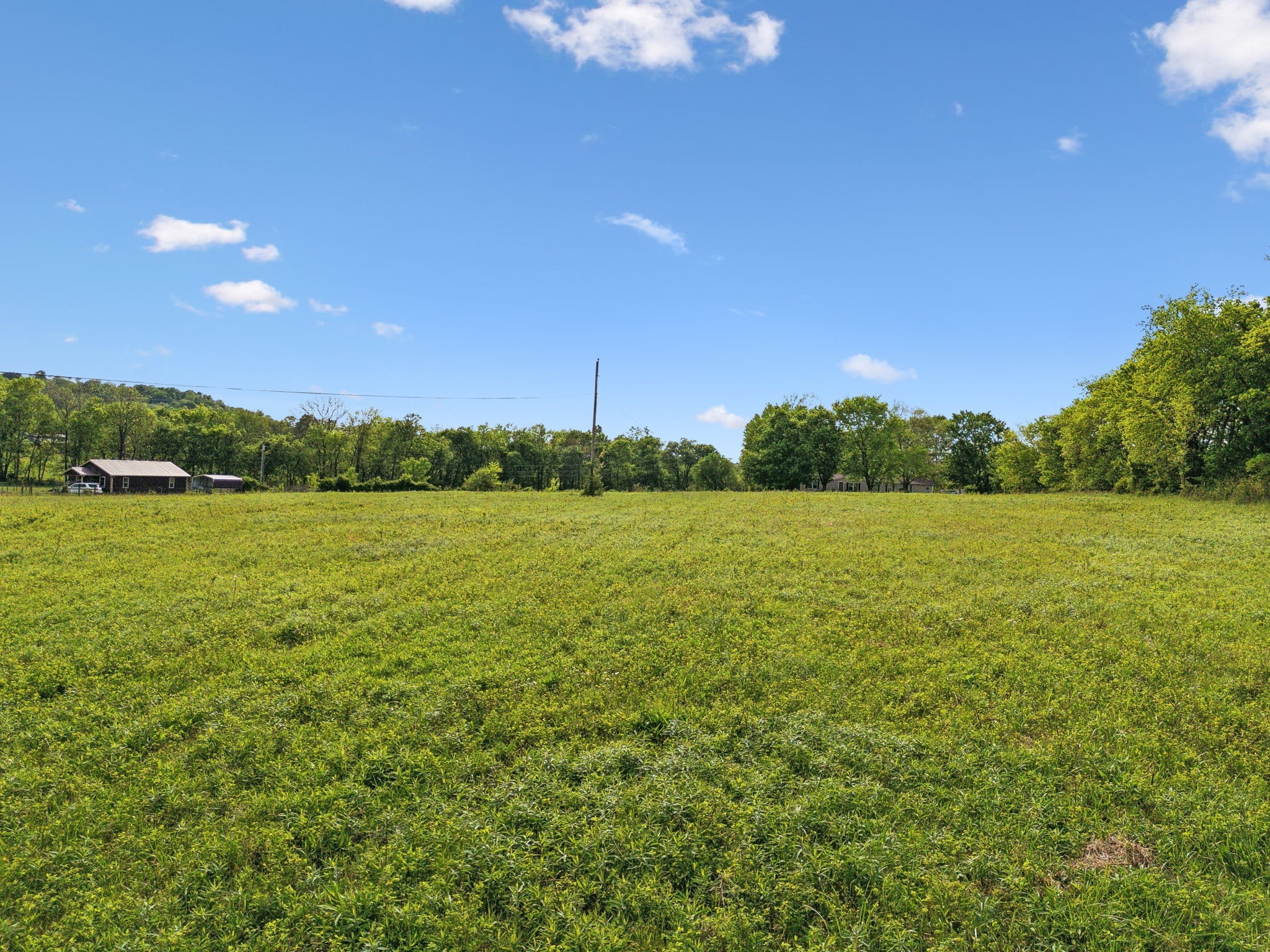 0 Polk Lane Columbia, TN 38401 - Photo 9 of 28 a view of a lake from a yard