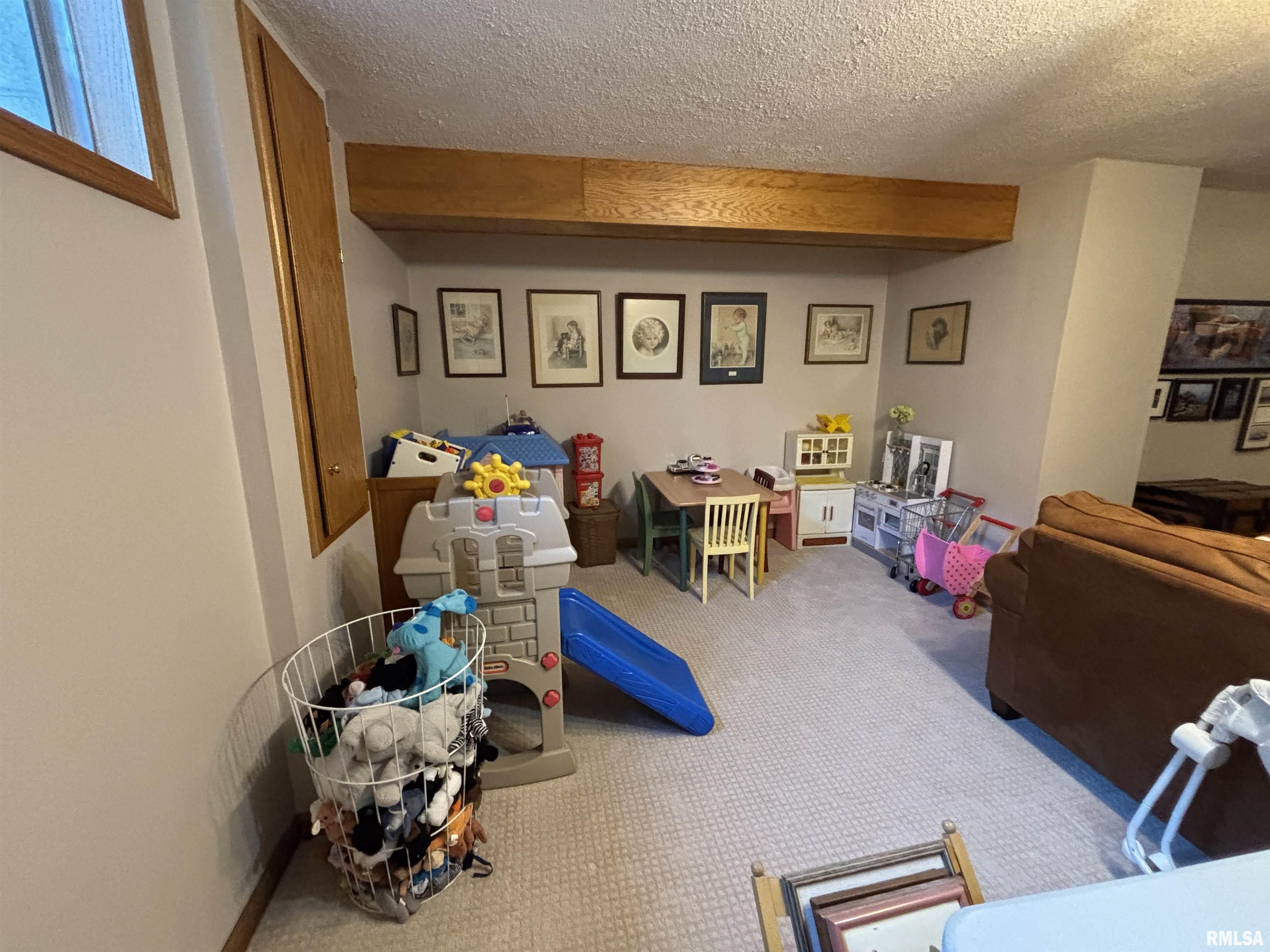 801 Firethorn Drive Washington, IL 61571 - Photo 37 of 49