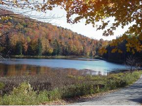 1311 Lime Pond Road Barnard, VT 05068 - Photo 5 of 5