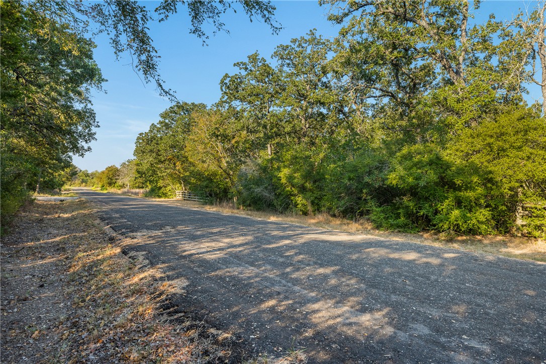 Tbd Wolf Run Street Somerville, TX 77879 - Photo 7 of 17