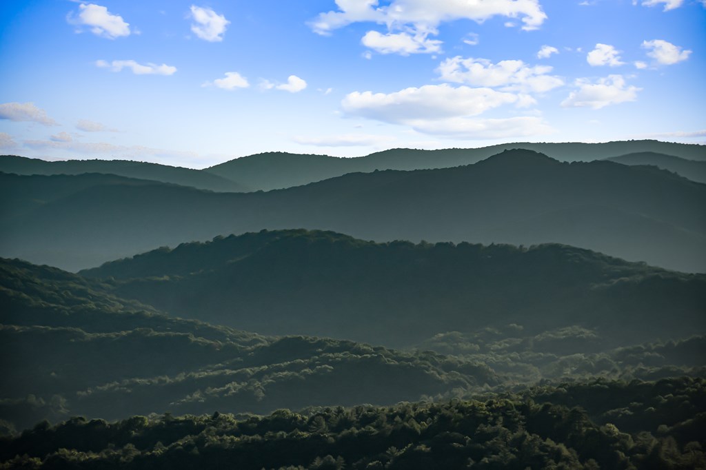 520 Overlook Drive Blue Ridge, GA 30513 - Photo 76 of 84 a view of lake with mountain