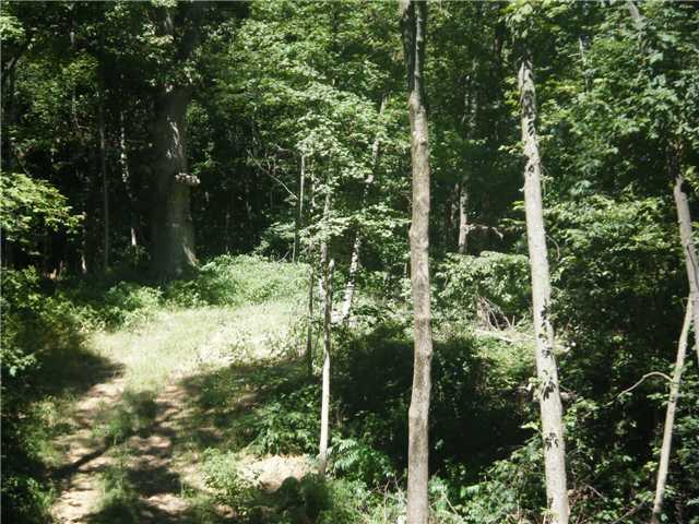 0 St Paul Road Ashville, OH 43103 - Photo 1 of 11