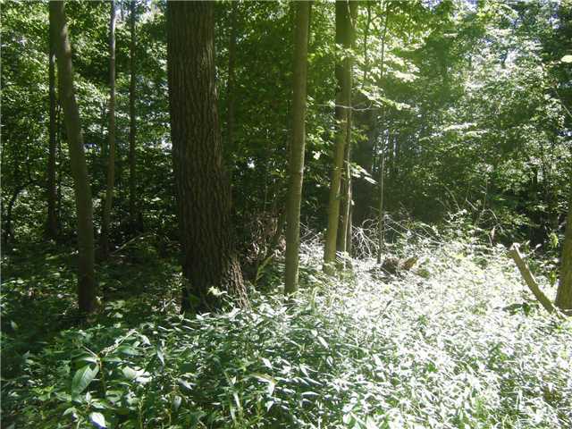 0 St Paul Road Ashville, OH 43103 - Photo 11 of 11