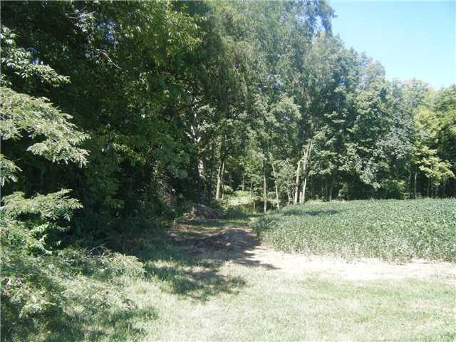 0 St Paul Road Ashville, OH 43103 - Photo 2 of 11