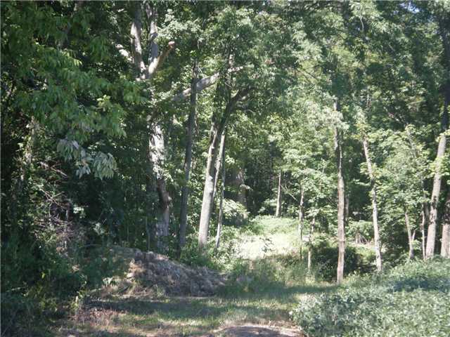 0 St Paul Road Ashville, OH 43103 - Photo 3 of 11