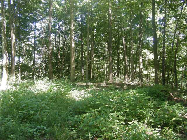 0 St Paul Road Ashville, OH 43103 - Photo 6 of 11