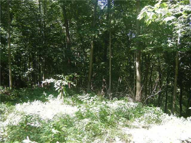0 St Paul Road Ashville, OH 43103 - Photo 10 of 11