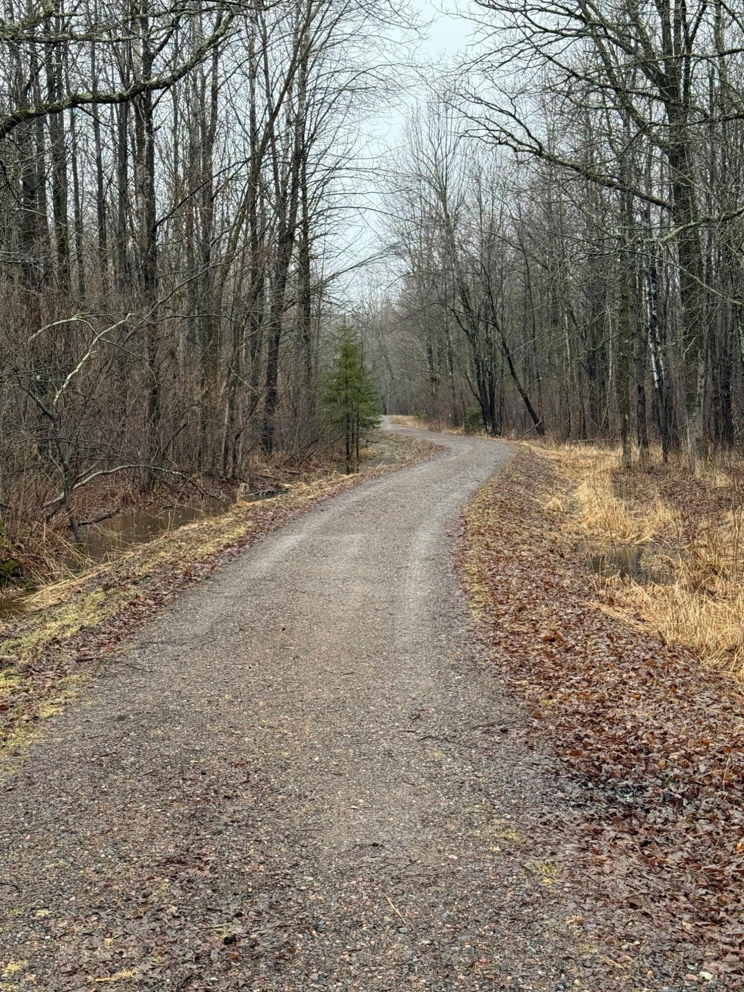 N1742 County Road North Kennan, WI 54537 - Photo 35 of 61 Private Driveway