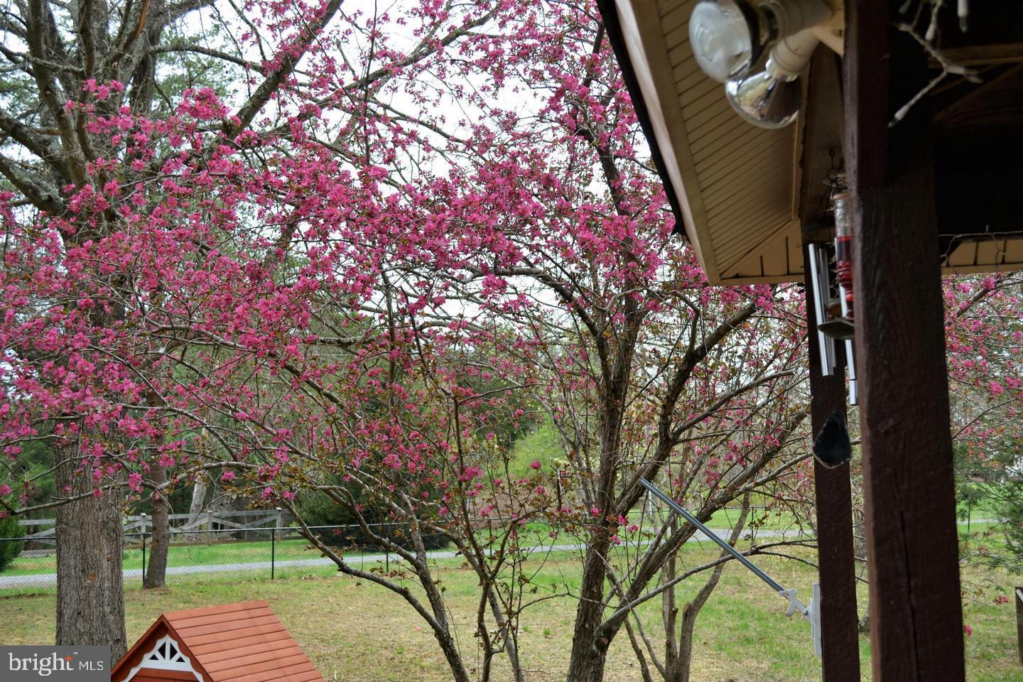 7719 Vermont Road Rhoadesville, VA 22542 - Photo 28 of 36 2017 Shot off Front Porch