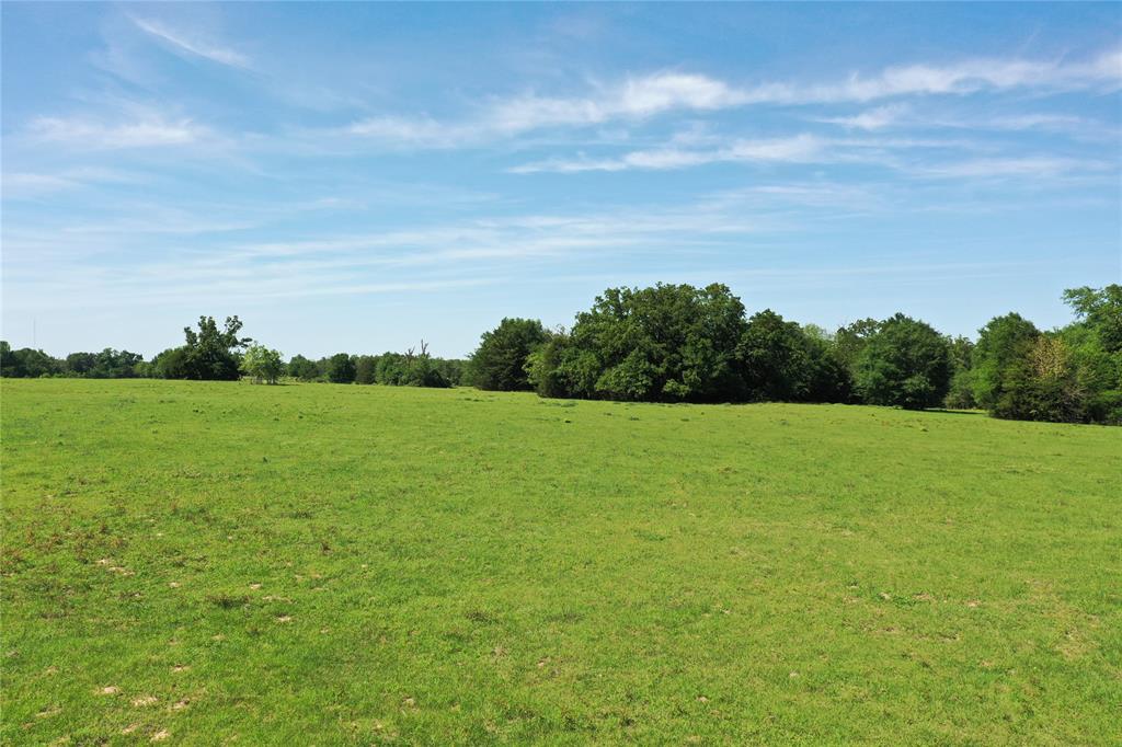 660 County Road 660 Teague, TX 75860 - Photo 3 of 8 a view of field with river in front of it
