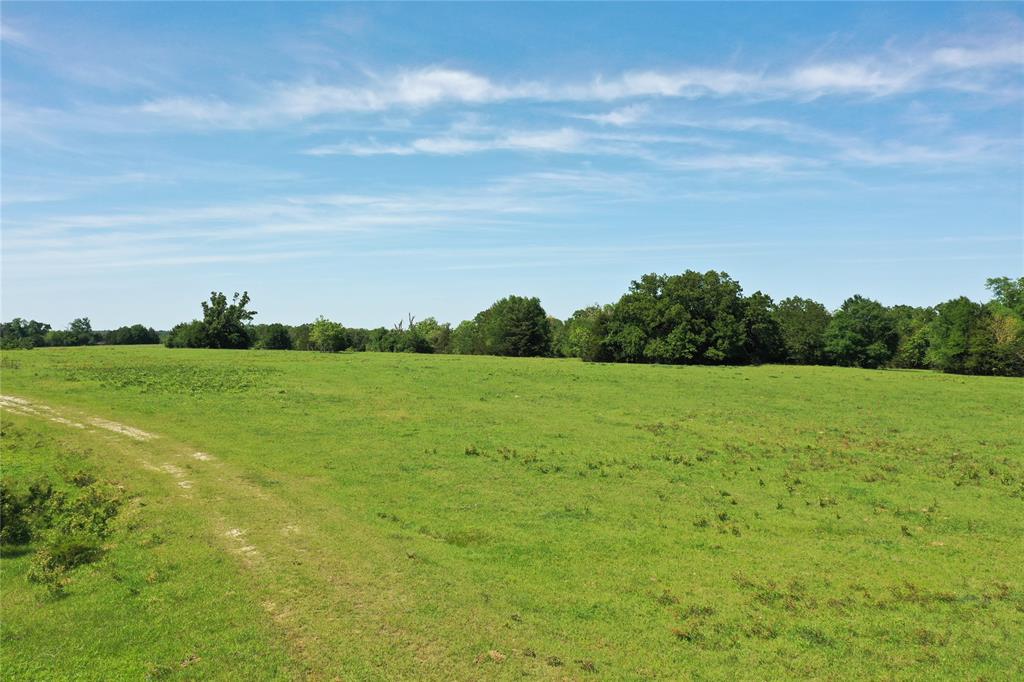 660 County Road 660 Teague, TX 75860 - Photo 7 of 8 a view of a green field with clear sky