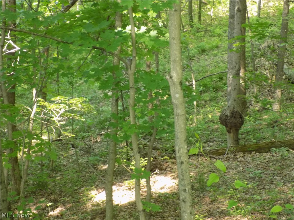 Grassy Road Walker, WV 26180 - Photo 10 of 18