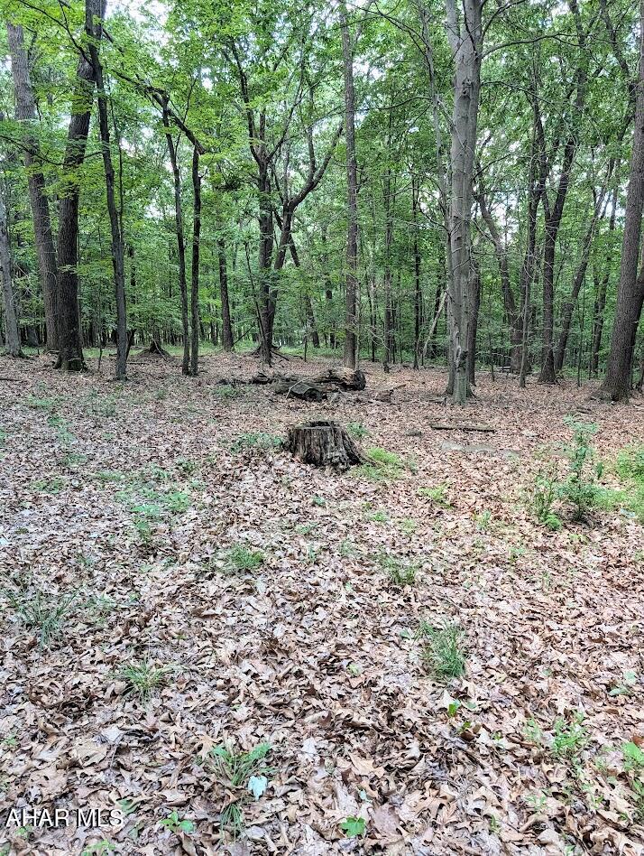 0 Mosquito Hollow Road Six Mile Run, PA 16679 - Photo 23 of 29