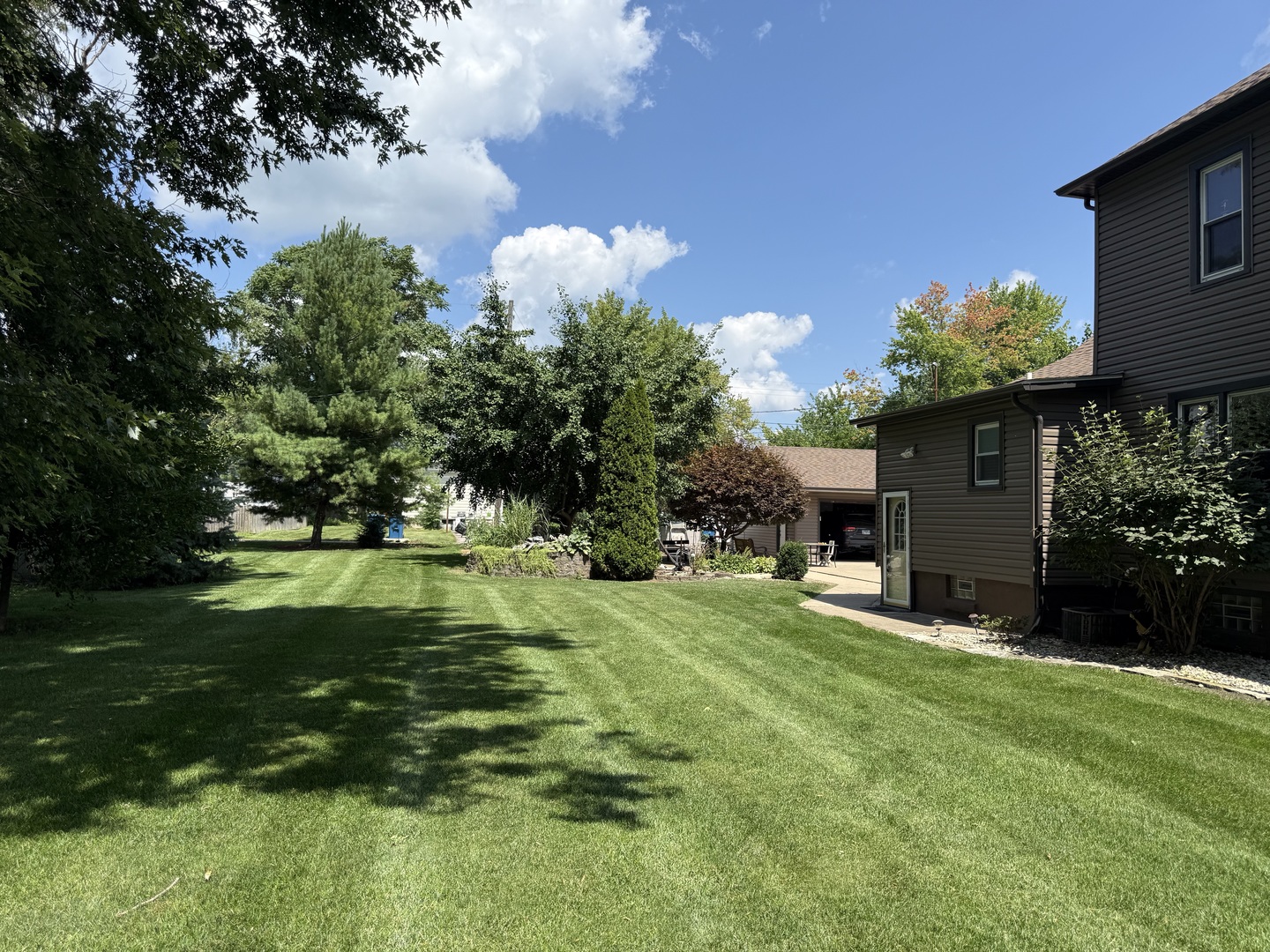 218 West 1st Street Spring Valley, IL 61362 - Photo 9 of 30 a view of a house with a yard and a tree