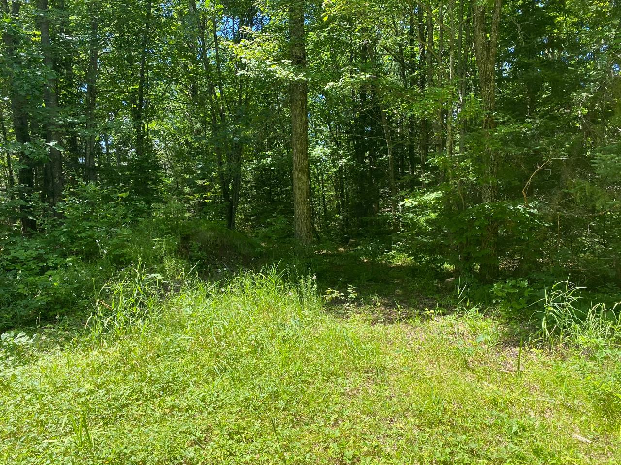 19-20 Sugar Maple Village Road Phelps, WI 54554 - Photo 5 of 19 Gallery Image 5