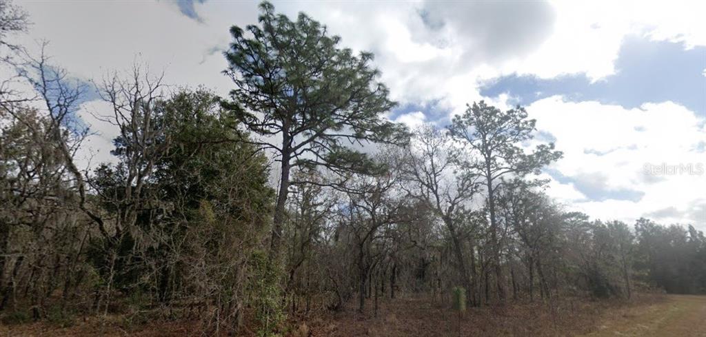 Crider Road Weeki Wachee, FL 34614 - Photo 2 of 3