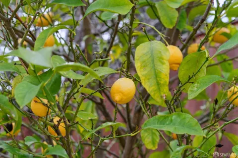 $1,199,999 | 4275 Marietta Court, Concord, CA 94518