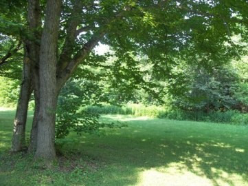 0 Tacey Road Ellenburg Center, NY 12934 - Photo 8 of 12