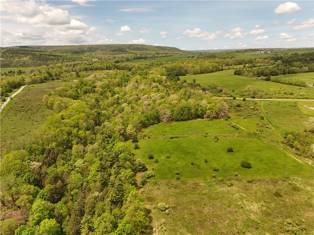 0 Middle Road Hammondsport, NY 14840 - Photo 12 of 20
