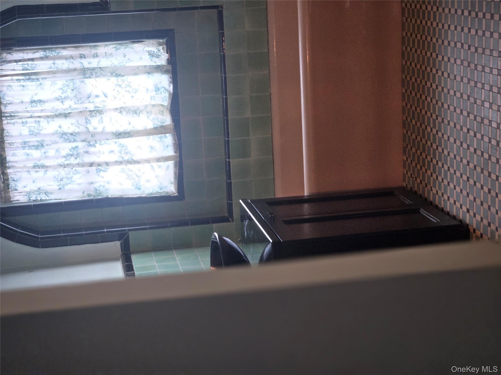 89-12 Rutledge Avenue Queens, NY 11385 - Photo 11 of 13 a bathroom with a bathtub