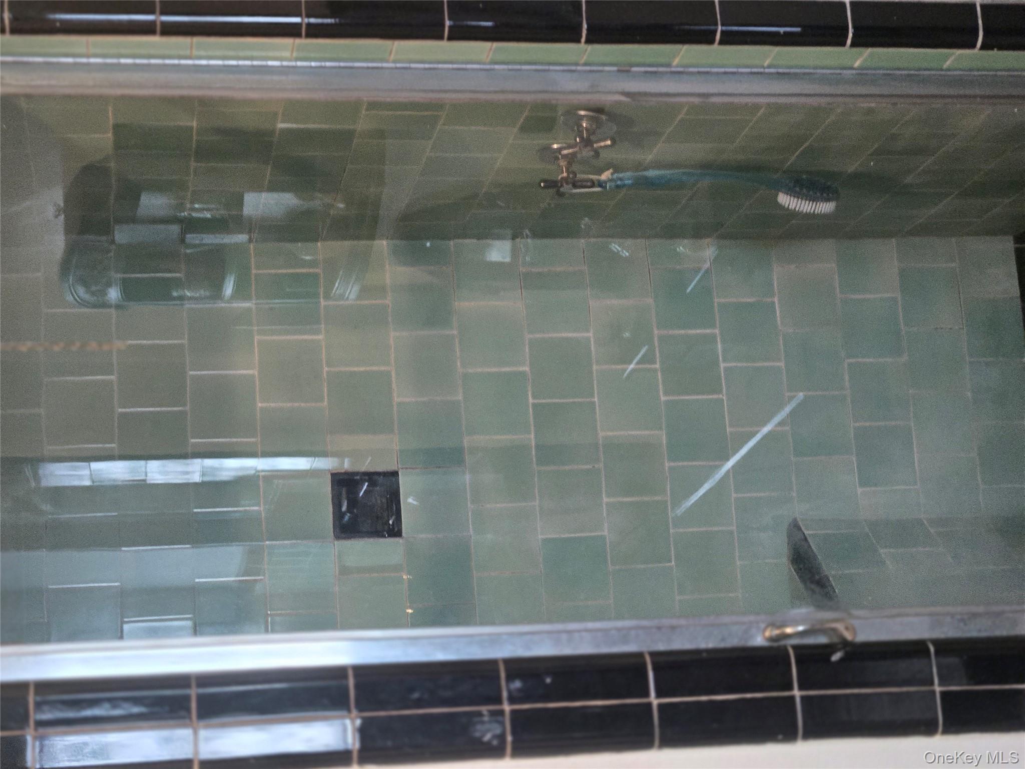 89-12 Rutledge Avenue Queens, NY 11385 - Photo 10 of 13 a bathroom with a shower