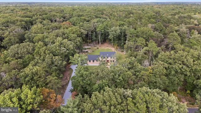 an aerial view of residential houses with outdoor space and trees
