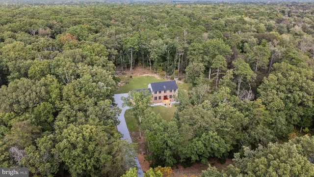 view of a forest with houses and yard