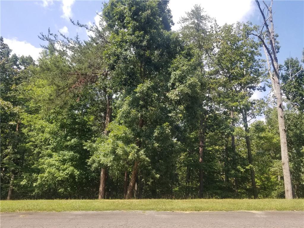 0 Whippoorwill Terrace Alto, GA 30510 - Photo 11 of 24 a view of a yard