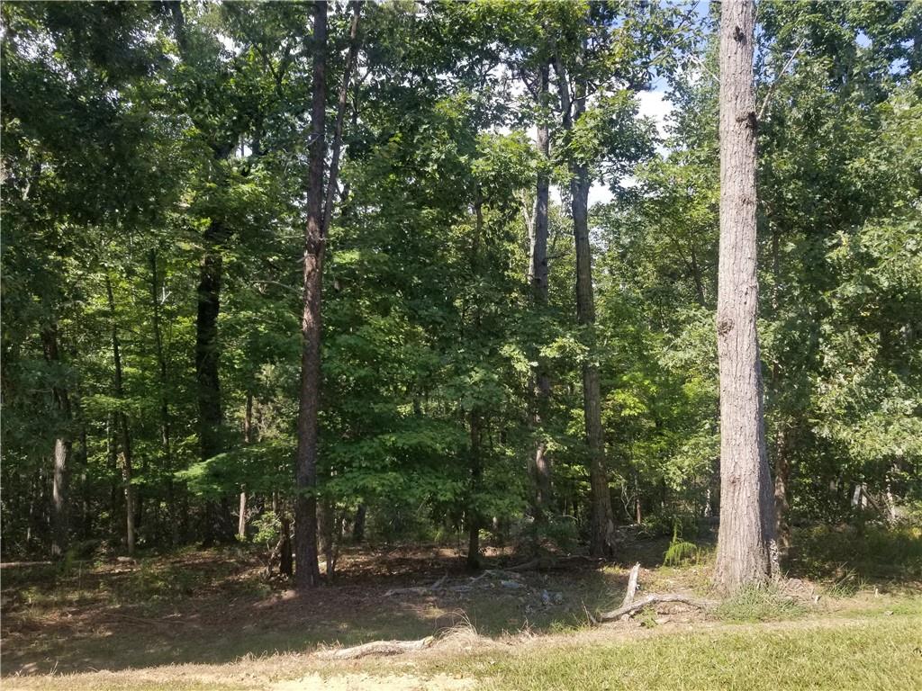 0 Whippoorwill Terrace Alto, GA 30510 - Photo 12 of 24 a view of a forest filled with trees
