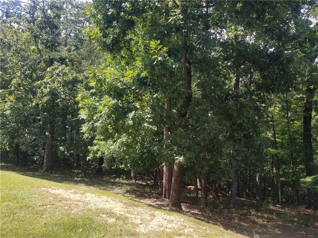 0 Whippoorwill Terrace Alto, GA 30510 - Photo 13 of 24 a view of a tree with a yard